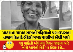 પાદરાના ચાપડ ગામની મહિલાનો પગ લપસતા તળાવ કિનારે બેઠેલો મગર પાણીમાં ખેંચી ગયો