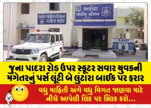 જુના પાદરા રોડ ઉપર સ્કૂટર સવાર યુવકની મંગેતરનું પર્સ લૂંટી બે લુંટારા બાઈક પર ફરાર