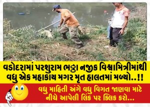 વડોદરામાં પરશુરામ ભઠ્ઠા નજીક વિશ્વામિત્રીમાંથી વધુ એક મહાકાય મગર મૃત હાલતમાં મળ્યો..!!