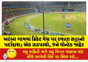 ખટંબા ગામમાં ક્રિકેટ મેચ પર રમાતા સટ્ટાનો પર્દાફાશ; એક ઝડપાયો, 9ને વોન્ટેડ જાહેર
