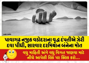 પાવાગઢ નજીક વડોદરાના વૃદ્ધ દંપતીએ ઝેરી દવા પીધી, સારવાર દરમિયાન બંનેના મોત
