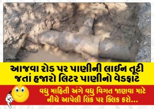 આજવા રોડ પર પાણીની લાઈન તૂટી જતાં હજારો લિટર પાણીનો વેડફાટ