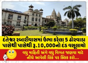 દંતેશ્વર રબારીવાસમાં ઉભા કરેલા 5 ઢોરવાડા પાસેથી પાસેથી રૂ.10,000નો દંડ વસૂલાયો