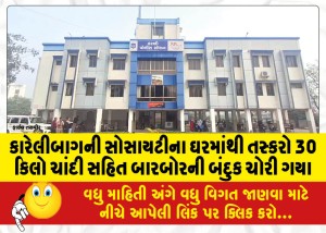કારેલીબાગની સોસાયટીના ઘરમાંથી તસ્કરો 30 કિલો ચાંદી સહિત બારબોરની બંદુક ચોરી ગયા