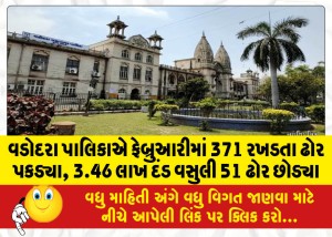 વડોદરા પાલિકાએ ફેબ્રુઆરીમાં 371 રખડતા ઢોર પકડ્યા, 3.46 લાખ દંડ વસુલી 51 ઢોર છોડ્યા
