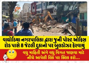વાઘોડિયા નગરપાલિકા દ્વારા જુની પોસ્ટ ઓફિસ રોડ પાસે 8 જેટલી દુકાનો પર બુલડોઝર ફેરવાયું