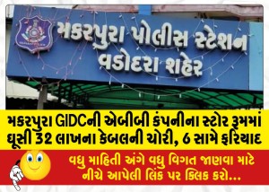 મકરપુરા GIDCની એબીબી કંપનીના સ્ટોર રૂમમાં ઘૂસી 32 લાખના કેબલની ચોરી, 6 સામે ફરિયાદ