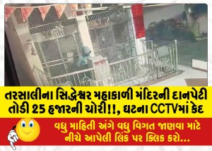 તરસાલીના સિદ્ધેશ્વર મહાકાળી મંદિરની દાનપેટી તોડી 25 હજારની ચોરી!!, ઘટના CCTVમાં કેદ