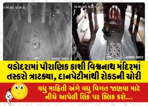 વડોદરામાં પૌરાણિક કાશી વિશ્વનાથ મંદિરમાં તસ્કરો ત્રાટક્યા, દાનપેટીમાંથી રોકડની ચોરી