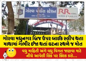 ગોરવા મધુનગર બ્રિજ ઉપર બાઈક સ્લીપ થતા માથામાં ગંભીર ઈજા થતાં ઘટના સ્થળે જ મોત