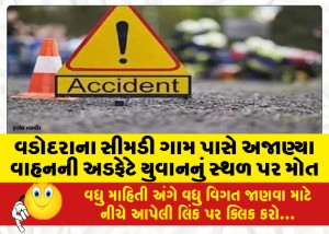 વડોદરાના સીમડી ગામ પાસે અજાણ્યા વાહનની અડફેટે યુવાનનું સ્થળ પર મોત