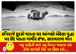 કપિરાજે કૂદકો મારતા ઘર આંગણે બેઠેલા વૃદ્ધા પર ઈંટ પડતા ગંભીર ઇજા, સારવારમાં મોત