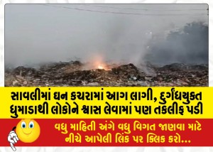 સાવલીમાં ઘન કચરામાં આગ લાગી, દુર્ગંધયુક્ત ધુમાડાથી લોકોને શ્વાસ લેવામાં પણ તકલીફ પડી