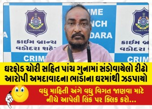 ઘરફોડ ચોરી સહિત પાંચ ગુનામાં સંડોવાયેલો રીઢો આરોપી અમદાવાદના ભાડાના ઘરમાંથી ઝડપાયો
