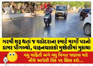 ગરમી શરૂ થતાં જ વડોદરાના સ્માર્ટ માર્ગો પરનો ડામર પીગળ્યો, વાહનચાલકો મુશ્કેલીમાં મુકાયા