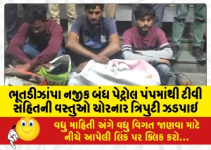 ભૂતડીઝાંપા નજીક બંધ પેટ્રોલ પંપમાંથી ટીવી સહિતની વસ્તુઓ ચોરનાર ત્રિપુટી ઝડપાઇ