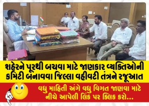 શહેરને પૂરથી બચવા માટે જાણકાર વ્યક્તિઓની કમિટી બનાવવા જિલ્લા વહીવટી તંત્રને રજૂઆત