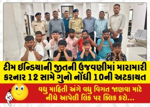 ટીમ ઇન્ડિયાની જીતની ઉજવણીમાં મારામારી કરનાર 12 સામે ગુનો નોંધી 10ની અટકાયત