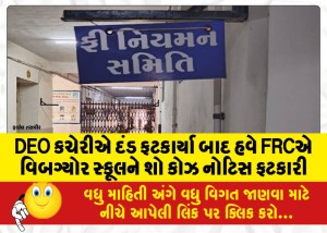 DEO કચેરીએ દંડ ફટકાર્યા બાદ હવે FRCએ વિબગ્યોર સ્કૂલને શો કોઝ નોટિસ ફટકારી