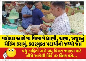 વડોદરા આરોગ્ય વિભાગે ધાણી, ચણા, ખજૂરનું ચેકિંગ કરાયું, કલરયુક્ત પદાર્થોનો જથ્થો જપ્ત