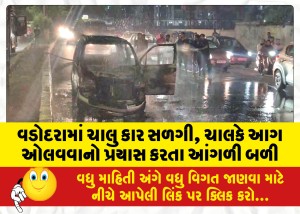 વડોદરામાં ચાલુ કાર સળગી, ચાલકે આગ ઓલવવાનો પ્રયાસ કરતા આંગળી બળી, ચાલકનો આબાદ બચાવ
