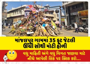 માંજલપુર ગામમાં 35 ફૂટ જેટલી ઊંચી સૌથી મોટી હોળી; મોટી સંખ્યામાં દર્શન માટે આવે છે ભક્તો
