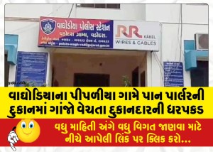 વાઘોડિયાના પીપળીયા ગામે પાન પાર્લરની દુકાનમાં ગાંજો વેચતા દુકાનદારની ધરપકડ