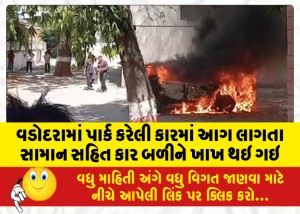 વડોદરામાં પાર્ક કરેલી કારમાં આગ લાગતા સામાન સહિત કાર બળીને ખાખ થઇ ગઇ