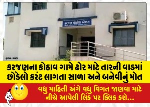 કરજણના કોઠાવ ગામે ઢોર માટે તારની વાડમાં છોડેલો કરંટ લાગતા સાળા અને બનેવીનું મોત