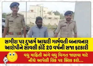સગીરા પર દુષ્કર્મ આચરી ગર્ભવતી બનાવનાર આરોપીને સાવલી કોર્ટે 20 વર્ષની સજા ફટકારી
