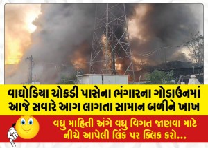 વાઘોડિયા ચોકડી પાસેના ભંગારના ગોડાઉનમાં આજે સવારે આગ લાગતા સામાન બળીને ખાખ