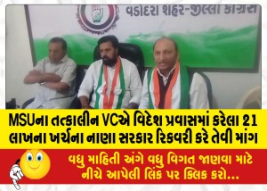 MSUના તત્કાલીન VCએ વિદેશ પ્રવાસમાં કરેલા 21 લાખના ખર્ચના નાણા સરકાર રિકવરી કરે તેવી માંગ