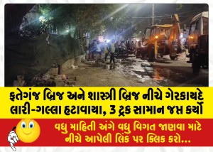 ફતેગંજ બ્રિજ અને શાસ્ત્રી બ્રિજ નીચે ગેરકાયદે લારી-ગલ્લા હટાવાયા, 3 ટ્રક સામાન જપ્ત કર્યો