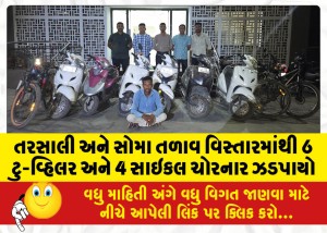 તરસાલી અને સોમા તળાવ વિસ્તારમાંથી 6 ટુ-વ્હિલર અને 4 સાઇકલ ચોરનાર ઝડપાયો