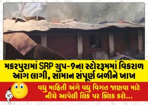 મકરપુરામાં SRP ગ્રુપ-9ના સ્ટોરરૂમમાં વિકરાળ આગ લાગી, સામાન સંપૂર્ણ બળીને ખાખ