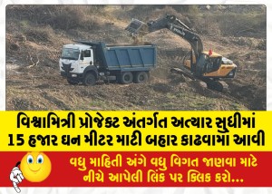 વિશ્વામિત્રી પ્રોજેક્ટ અંતર્ગત અત્યાર સુધીમાં 15 હજાર ઘન મીટર માટી બહાર કાઢવામાં આવી