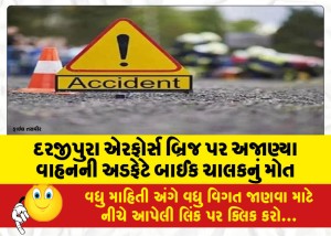 દરજીપુરા એરફોર્સ બ્રિજ પર અજાણ્યા વાહનની અડફેટે બાઈક ચાલકનું મોત