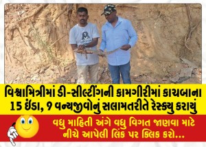 વિશ્વામિત્રીમાં ડી-સીલ્ટીંગની કામગીરીમાં કાચબાના 15 ઇંડા, 9 વન્યજીવોનું સલામતરીતે રેસ્ક્યુ કરાયું