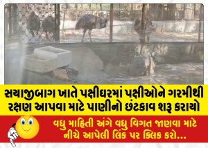 સયાજીબાગ ખાતે પક્ષીઘરમાં પક્ષીઓને ગરમીથી રક્ષણ આપવા માટે પાણીનો છંટકાવ શરૂ કરાયો
