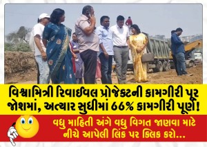વિશ્વામિત્રી રિવાઈવલ પ્રોજેક્ટની કામગીરી પૂર જોશમાં, અત્યાર સુધીમાં 66% કામગીરી પૂર્ણ!