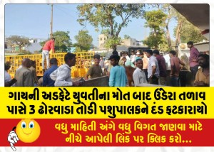 ગાયની અડફેટે યુવતીના મોત બાદ ઉંડેરા તળાવ પાસે 3 ઢોરવાડા તોડી પશુપાલકને દંડ ફટકારાયો