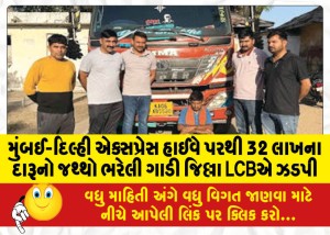 મુંબઈ-દિલ્હી એક્સપ્રેસ હાઈવે પરથી 32 લાખના દારૂનો જથ્થો ભરેલી ગાડી જિલ્લા LCBએ ઝડપી