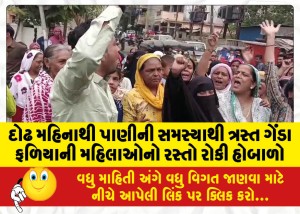 દોઢ મહિનાથી પાણીની સમસ્યાથી ત્રસ્ત ગેંડા ફળિયાની મહિલાઓનો રસ્તો રોકી હોબાળો