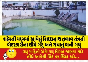 શહેરની મધ્યમાં આવેલું સિધ્ધનાથ તળાવ તંત્રની બેદરકારીના લીધે ગંદુ અને ગંધાતું બની ગયું