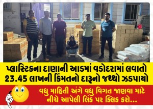 પ્લાસ્ટિકના દાણાની આડમાં વડોદરામાં લવાતો 23.45 લાખની કિંમતનો દારૂનો જથ્થો ઝડપાયો