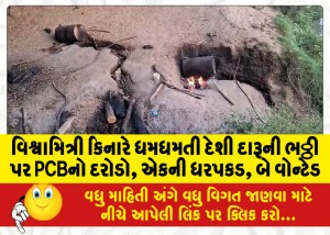 MailVadodara.com - PCB-raids-a-bustling-country-liquor-factory-on-the-banks-of-Vishwamitri-one-arrested-two-wanted