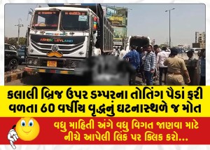 MailVadodara.com - A-60-year-old-man-died-on-the-spot-after-being-hit-by-the-wheels-of-a-dumper-on-Kalali-Bridge