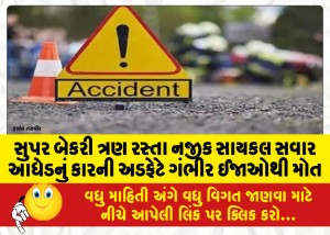 MailVadodara.com - A-middle-aged-cyclist-died-of-serious-injuries-after-being-hit-by-a-car-near-Super-Bakery-Three-Road