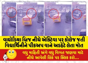 MailVadodara.com - College-going-student-dies-after-being-hit-by-pickup-van-under-Waghodia-Bridge-in-Activa