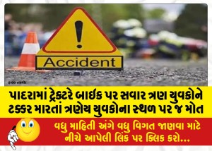 MailVadodara.com - Three-youths-died-on-the-spot-after-a-tractor-hit-them-on-a-bike-in-Padra
